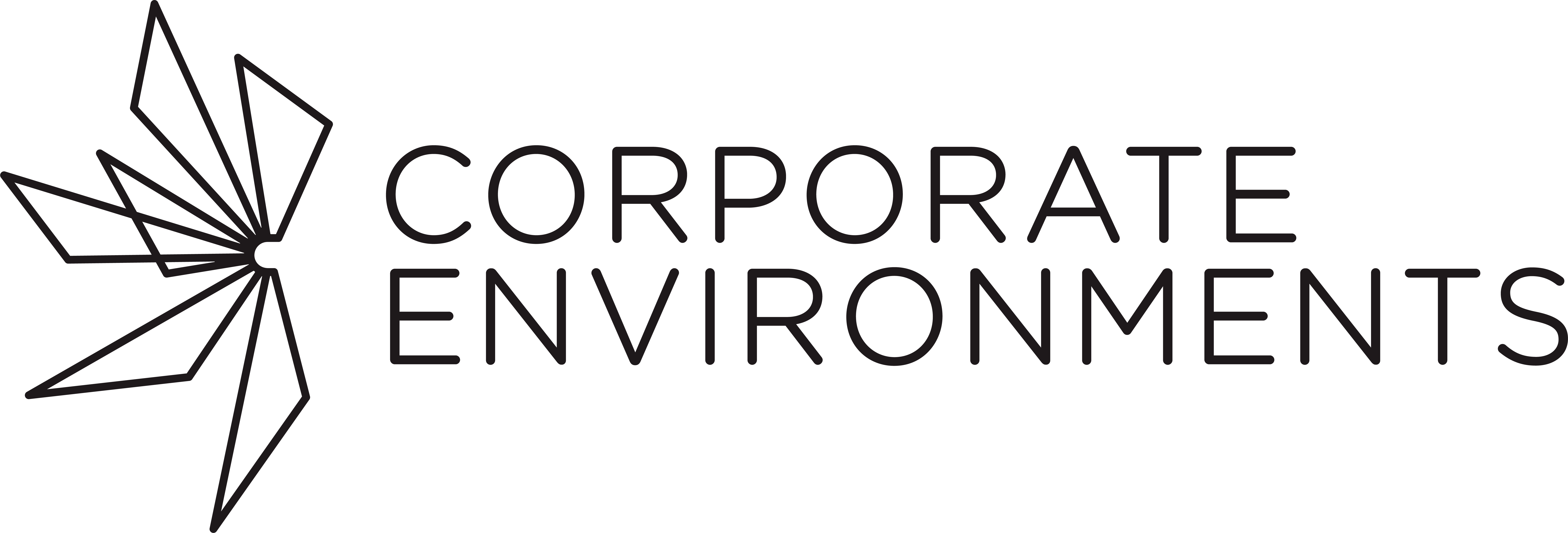 Corporate Environments Logo