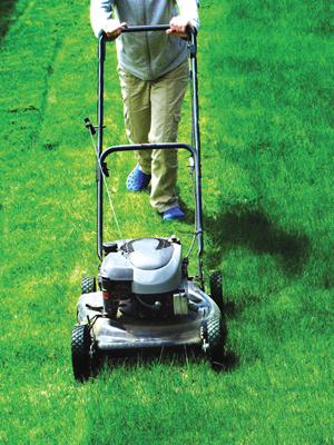 Lawn mower that online mows on its own